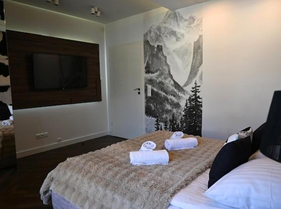 Appartamento Silver - Stara Polana Zakopane